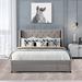 Ebern Designs Tonita Queen Tufted Low Profile Storage Platform Bed Upholstered/Velvet, Wood in Gray | 45.5 H x 65 W x 84.5 D in | Wayfair