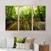 Loon Peak® Wooden Platform In Green Forest - 3 Piece Floater Frame Photograph on Canvas in White | 28 H x 36 W x 1 D in | Wayfair