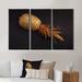 Bay Isle Home™ Gold Painted Tropical Fruits On Black II - 3 Piece Floater Frame Print on Canvas Canvas, Wood in White | 20 H x 36 W x 1 D in | Wayfair