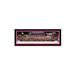 Washington State Football Panoramic Print Paper in Black/Green/Red Blakeway Worldwide Panoramas, Inc | 13.75 H x 40.25 W x 0.38 D in | Wayfair