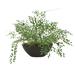 Primrue 16" Artificial Fern Plant in Planter Fiberstone/Polysilk | 16 H x 24 W x 24 D in | Wayfair F77B8A10334A4D0EB6E2287130C98DF7