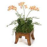Primrue Mini Orchid Floral Arrangement in Pot Polysilk | 18 H x 15 W x 12 D in | Wayfair 17E655F445674CC784B3D15DCD67CA29