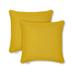 Austin Horn Classics Kiwi Square Pillow Cover Sunbrella® in Yellow | 1 H x 20 W x 20 D in | Wayfair 719294496474