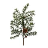 Pine Spray with Pine Cones (Set of 6) - 3"L x 12"W x 36.5"H