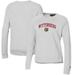 Women's Under Armour Gray Wittenberg University Tigers All Day Pullover Sweatshirt