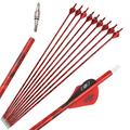 SHARROW Archery Carbon Arrows 30 Inch Camo Carbon Arrow Shaft Spine 500 Target Practice Hunting Arrows for Compound Recurve Bow (12pcs, Red)