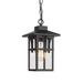 1-Light Pendant Light Fixtures with Height Adjustable Chain, Seeded Glass Shade, Matte Black Finish