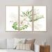 Bay Isle Home™ Tropical Bouquet w/ Flowers & Golden Leaves I - 3 Piece Floater Frame Graphic Art Set on Canvas Canvas, in White | Wayfair
