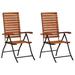 vidaXL Reclining Patio Chairs 2 pcs Solid Wood Acacia - 23.2" x (28.7"-38.6") x (38.2"-43.7")