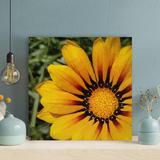 Latitude Run® Yellow-Petaled Flowers 1 - 1 Piece Rectangle Graphic Art Print On Wrapped Canvas Canvas | 16 H x 16 W x 2 D in | Wayfair