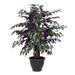 Vickerman 688625 - 4' Capensia Extra Full in Gray Pot (TXX0340-RG) Home Office Bushes