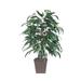 Vickerman 701270 - 4' Mango Bush Square Brown Container (TBU2840-SB) Home Office Bushes