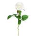 Vickerman 26" Artificial White Rose Stem, 6 per Bag