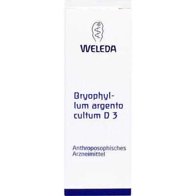Weleda - BRYOPHYLLUM ARGENTO cultum D 3 Dilution Einzelmittel 05 l