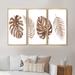 Bay Isle Home™ Tropical Monstera & Palm Leaf In Terracotta - 3 Piece Floater Frame Painting on Canvas Metal in Brown/Green/White | Wayfair