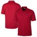 Men's Cutter & Buck Red Carolina Panthers Big Tall Advantage Tri-Blend Space Dye Polo