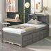 Winston Porter Dimos Storage Platform Bed, Wood in Gray | Twin | Wayfair 0280894EB7FB40F5994D313780459AD8