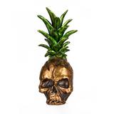 The Holiday Aisle® Pineapple Skull Resin | 14 H x 5.5 W x 6 D in | Wayfair 748FFA145D824162A3E4D12EAC7402B2