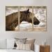 Canora Grey Andalusian Horse - 3 Piece Floater Frame Graphic Art on Canvas Metal in Brown/Gray | 32 H x 48 W x 1 D in | Wayfair