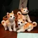 2 TANNew-Chien en peluche Akita chien en peluche animaux de simulation mignons Shiba Inu poupées