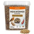 petifool Mehlwürmer 800g – getrocknete Mehlwürmer - gesunder Insektensnack für Schildkröten, Fische, Vögel, Reptilien und Nager