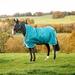 Amigo 1200D Bravo 12 Wug Turnout Blanket - 75 - Heavy (400g) - Storm Green/Aqua, Turquoise & Blue - Smartpak