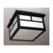 Coldwater Outdoor Flush Mount