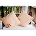 Modern Monogram Indoor/Outdoor Throw Pillow-N