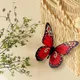 Autocollant mural 3D en forme de grand papillon 40cm papier peint décoratif pour mariage