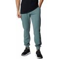 COLUMBIA Herren Hose M CSC Logo Fleece Jogger II, Größe L in Grün