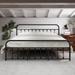 Rosalind Wheeler Mcdowell Storage Platform Bed Metal in Black | 43.31 H x 76.69 W x 82.91 D in | Wayfair E2209134580148A687A69E653EB363B0