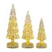 The Holiday Aisle® 3 Piece LED Tabletop Tree Set Glass/Mercury Glass | 13 H x 4.25 W x 4.25 D in | Wayfair 98A20CB09D0441268A8C84C31B3A7064