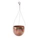 Gracie Oaks Lujuana Metal Hanging Planter Metal | 9 H x 10 W x 10 D in | Wayfair B9D08D48BEC145C7B182CE096AFD0035