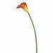 Freeport Park® Artificial Calla Lily Stem Polyester in Orange/Red | 28 H x 5 W x 5 D in | Wayfair 057E3262C2B9446890BCCE87395F9D41