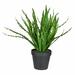 Primrue 16" Artificial Fern Plant in Planter Porcelain/Plastic | 16 H x 11 W x 16 D in | Wayfair 76F46D81988D4F659F65B02E6911C829