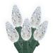 The Holiday Aisle® C6 LED Christmas Light Set in Green | 1200 W in | Wayfair 1C0B320C85FD4B219F9202EFDFE57423