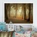 Millwood Pines Path By Melancholic Forest II - Floater Frame Print on Canvas Metal in Black/Brown/Red | 30 H x 40 W x 1.5 D in | Wayfair