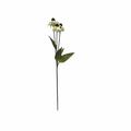 Primrue Artificial 31.5" Black Eyed Susan Spray | 31.5 H x 9 W x 7 D in | Wayfair 2CA458140CAF4C0B9D7FB3C8B751842B