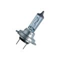 HERTH+BUSS ELPARTS Ampoule, projecteur longue portée pour AMC: Pacer (Ref: 89901309)