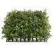 Primrue 6 - Piece 27" Artificial Boxwood Hedge Set Silk/Plastic | 18 H x 16 W x 3 D in | Wayfair 68D0B03E9B954AD2974B05E9215136E1