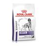 13kg Dental Royal Canin Expert Dry Dog Food