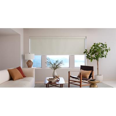 Motorized Blackout Roller Shades | 24" x 36"