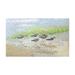 East Urban Home Summer Avocets 50 in. x 30 in. Non-Slip Indoor Outdoor Door Mat Synthetics in Brown/Gray | 50 H x 30 W x 0.2 D in | Wayfair