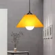 Lampe LED suspendue en PVC au design nordique abat-jour en plastique Luminaire décoratif