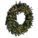 Primrue 24" Douglas Fir Artificial Pre-Lit Wreath, Dura-Lit Warm White LED Mini Lights. in Green/White | 24 H x 24 W x 3 D in | Wayfair