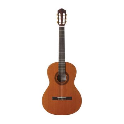 Cordoba Cadete Iberia Series 3/4-Size Nylon-String Classical Guitar (High Gloss) 02819