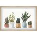 Bungalow Rose "Ultimate Succulent Collection" Framed Print Paper in Blue/Brown/Green | 12 H x 18 W x 1.5 D in | Wayfair