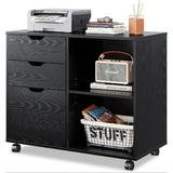 Paracity Mobile Vertical Filing Cabinet Wood in Black | 23.6 H x 31.5 W x 15.7 D in | Wayfair 02CS3HZEL841UJDN2