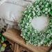 Primrue Eucalyptus On Ice 20" Polyester/Silk Wreath Silk in Green/White | 20 H x 20 W x 4 D in | Wayfair 1E6123BB6527456D8601C0A98AD1FD92