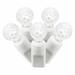 The Holiday Aisle® Single Mold G12 Berry LED Christmas light set 6"Sp 25'L in White | 2.5 H x 1.5 W x 300 D in | Wayfair